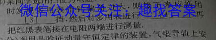 2024年普通高等学校招生全国统一考试仿真模拟卷(一)f物理