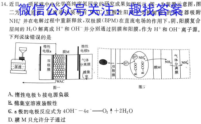 q2023-2024学年朝阳市高一年级12月考试化学