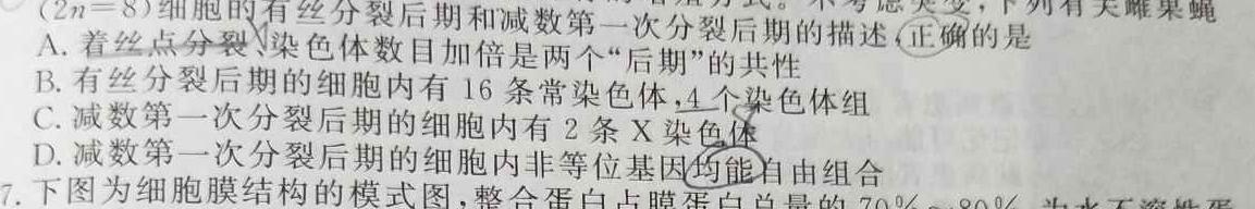 重庆市巴蜀中学2024届高考适应性月考(五)5生物