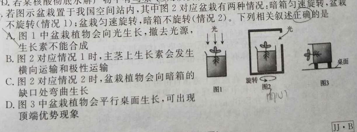 ［湖北大联考］湖北省2023-2024学年度高一年级上学期12月联考生物学部分