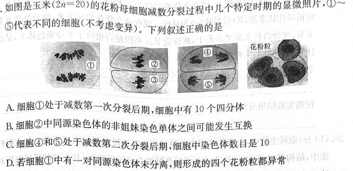 山东中学联盟2024届高三年级百校大联考12月联考生物学部分