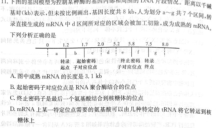江西省2023-2024学年度上学期高一第三次月考生物