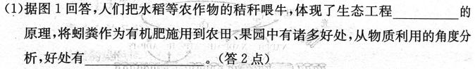 江西省2024届九年级上学期第四阶段练习生物