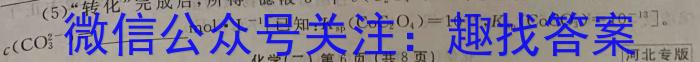 j老教材老高考五省联考·2023-2024学年高三年级(二联)化学试卷答案