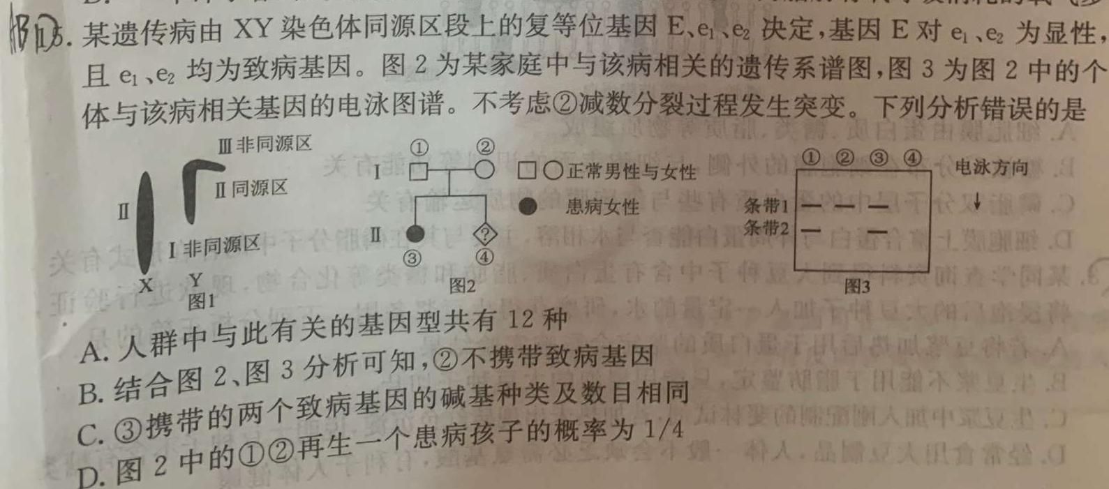 安徽省2023-2024学年上学期高三年级12月联考生物