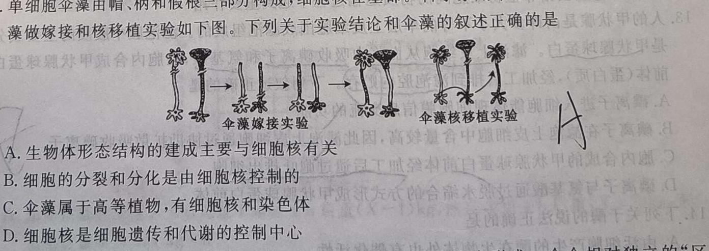 浙江强基联盟2023学年第一学期高二12月联考(24-183B)生物