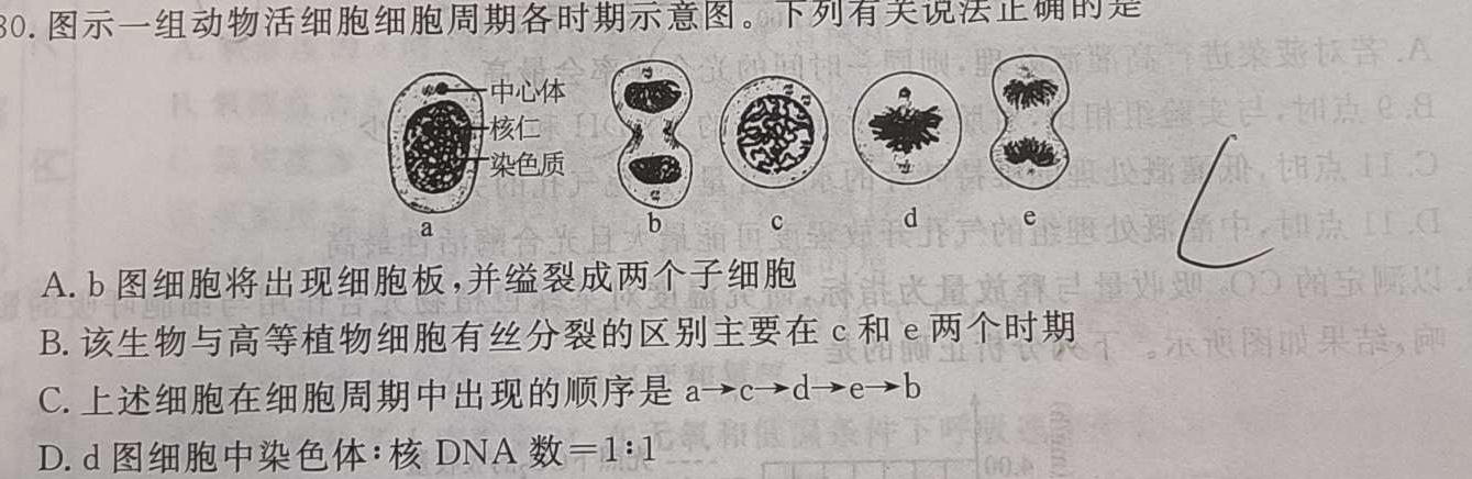 广东省2024届高三级12月“六校”联考（4204C）生物