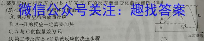 q北镇三高2023-2024学年度高三年级第一学期第四次考试化学