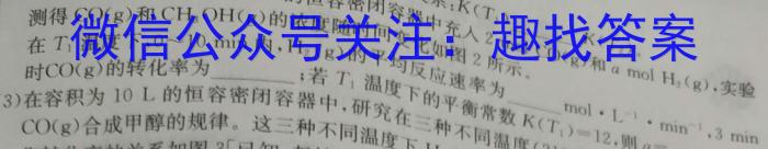 j2024届衡中同卷调研卷 新教材版L(一)1化学试卷答案