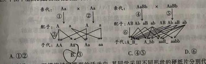 内蒙古2023-2024学年度高二年级上学期11月期中联考生物