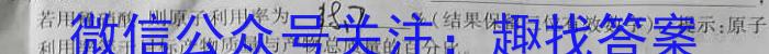 j陕西省咸阳市2023-2024学年度第一学期九年级第二次作业C化学试卷答案