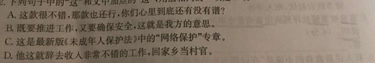 [今日更新]安徽省2023-2024学年九年级上学期教学质量调研三（页码名字）语文试卷答案