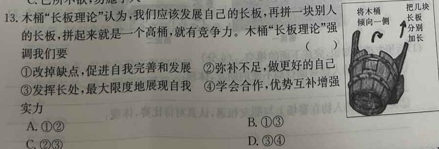 皖智教育 安徽第一卷·2024年安徽中考第一轮复习试卷(六)6思想政治部分