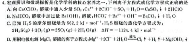 12024届辽宁省高三12月联考(24-207C)化学试卷答案