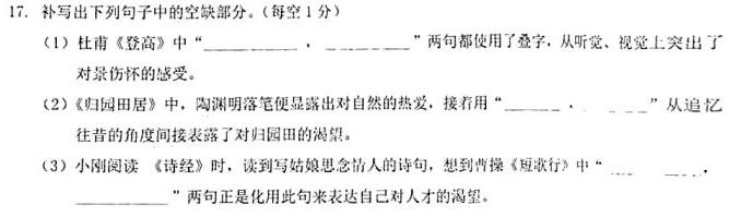 [今日更新]安徽省2023-2024学年九年级上学期教学质量调研三（页码名字）语文试卷答案