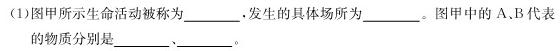 石室金匮 成都石室中学2023-2024学年度上期高2024届一诊模拟考试生物