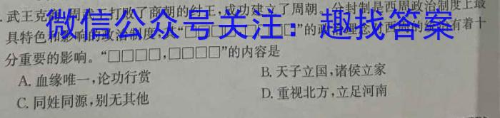 天一大联考 2023-2024学年高中毕业班阶段性测试(四)历史试卷