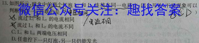 天一大联考 三晋名校联盟 2023-2024学年高三年级阶段性测试(期中)l物理