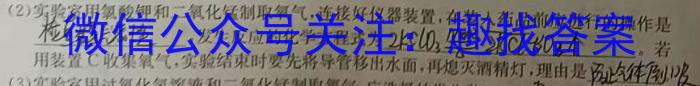 j河南省2024届九年级第一学期学习评价（3）化学试卷答案