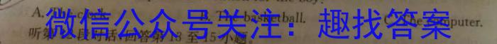 安徽省2023-2024学年度第一学期九年级学科素养练习（二）英语