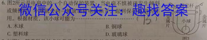 2024届普通高校招生全国统一考试仿真模拟·全国卷 YX-E(二)物理`