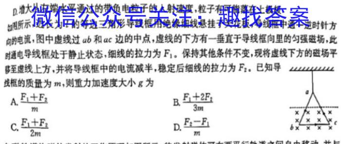 ［新乡一模］2024年新乡市高三年级第一次模拟考试q物理