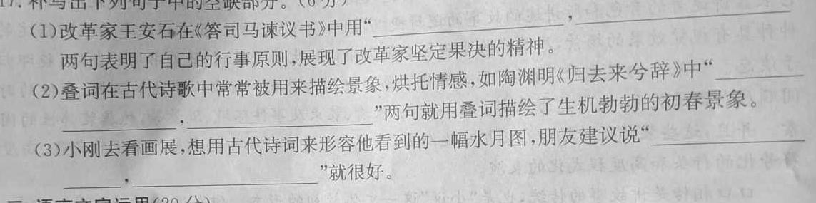 [今日更新]安徽省2024届九年级阶段评估(二)3L R语文试卷答案