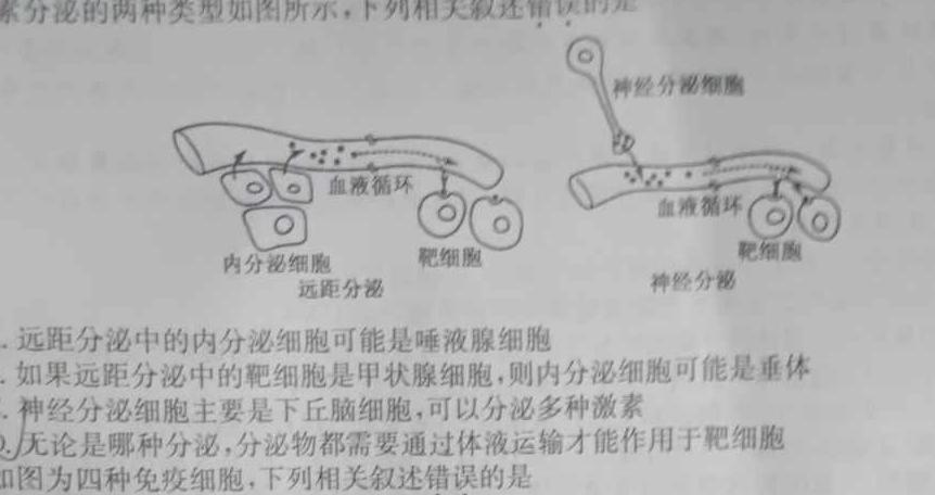 2023-2024学年陕西省高一12月联考(↑↑)生物