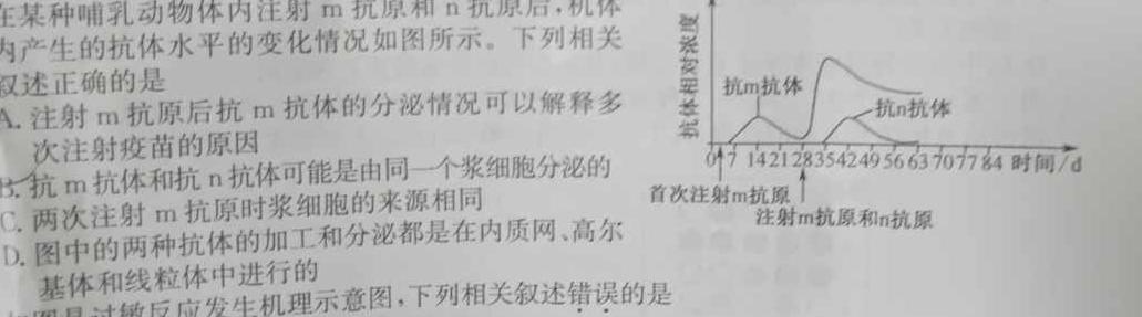 海南省2024届高三年级上学期12月联考生物