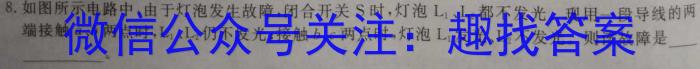 河北省2024届九年级阶段评估(二) 2L Rl物理
