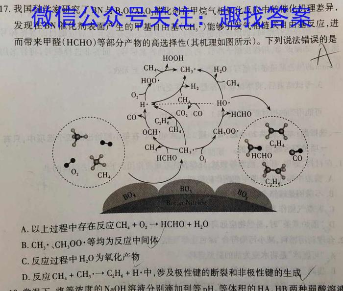 j腾·云联盟2023-2024学年度上学期高三12月联考化学试卷答案