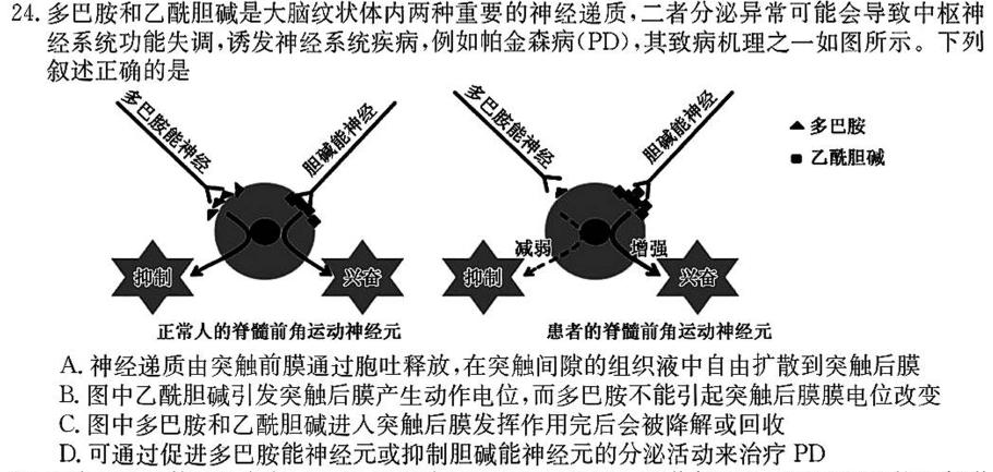 [国考1号9]第9套 2024届高三阶段性考试(六)6生物学部分