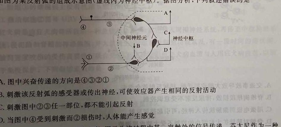 2024年衡水金卷先享题分科综合卷答案新教材二生物