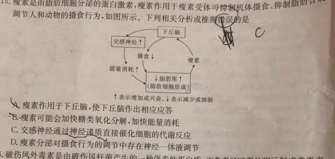 辽宁省2023~2024学年度上学期高二12月联考试卷(242342D)生物学部分