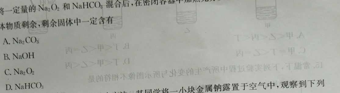 【热荐】江西省2024届九年级11月考试（二）［11.28］化学