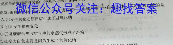 b学科网2024届高三1月模拟考试化学