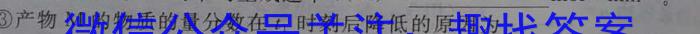 3江西省2023~2024学年度八年级上学期阶段评估(二) 3L R-JX化学试题
