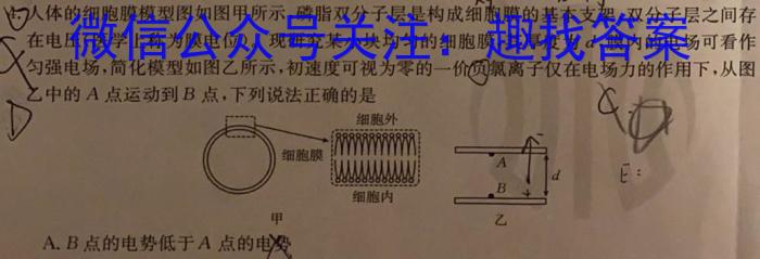 ʡ2023~2024ѧȽ꼶׶ R-PGZX F-AH()xԾ