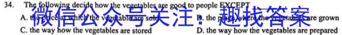 2023-2024学年安徽省九年级上学期阶段性练习(三)英语