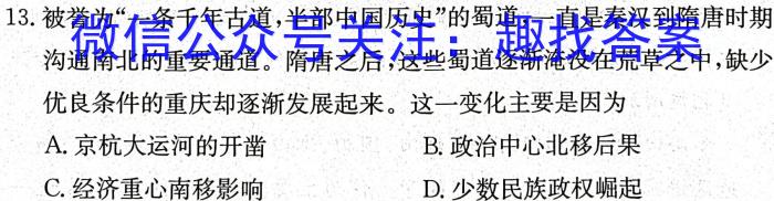 2024年普通高等学校招生统一考试 最新模拟卷(三)历史