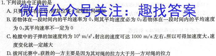 安徽省六安皋城中学2024届初三阶段性目标检测（四）q物理