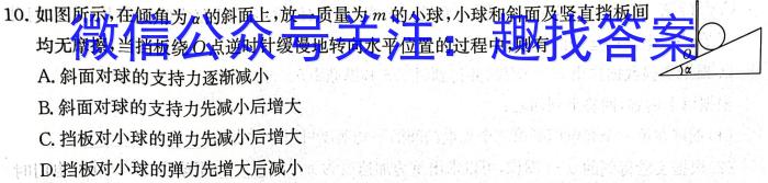 2024届江西省九江市九年级教学质量检测（二）q物理