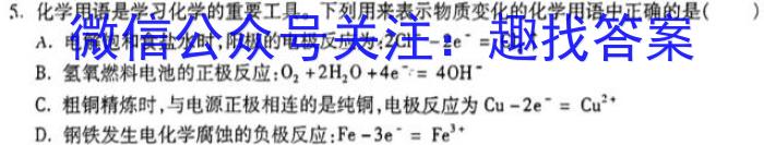 q[桂柳文化]2024届高考桂柳鸿图模拟金卷(一)化学