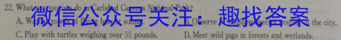 山东普高大联考高二11月联合质量测评英语