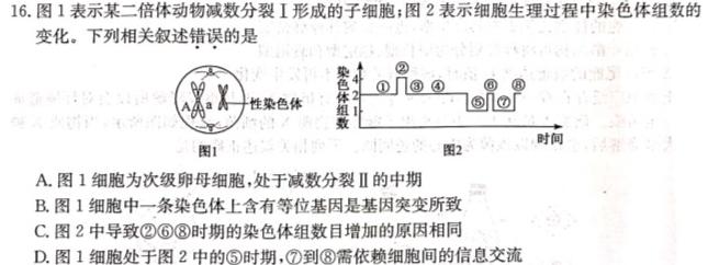 2023-2024学年陕西省高三试卷11月联考(黑色正方形包菱形)生物