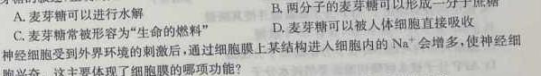 ［河北大联考］河北省邢台市五岳联盟2023-2024学年高三（上）期中考试生物学部分