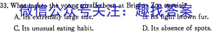 百师联盟2024届高三仿真模拟考试全国卷(三)英语试题答案
