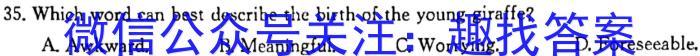 𿼾 У(¸߿)2024ͨߵѧУȫͳһ 캽()Ӣx