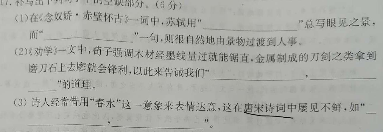 [今日更新]河南省七市重点高中2024届高三上学期11月联合测评语文试卷答案