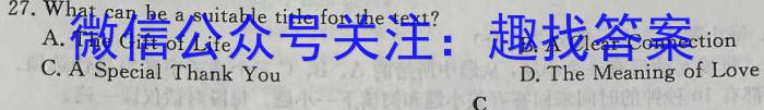 安徽省2023-2024学年度九年级上学期第三次月考（12.12）英语